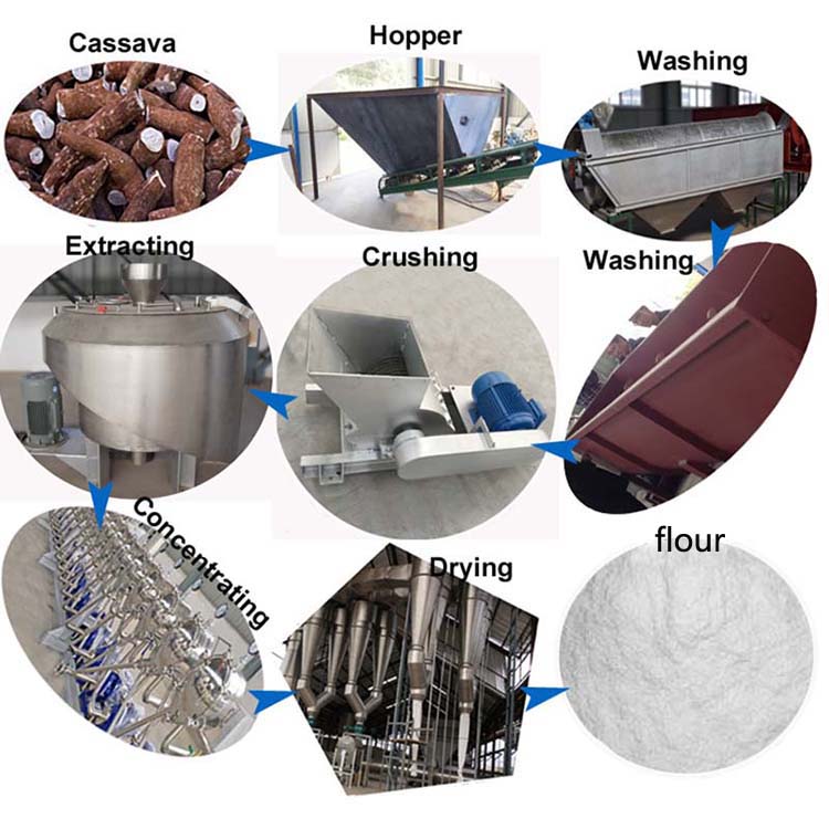 cassava flour processing .jpg