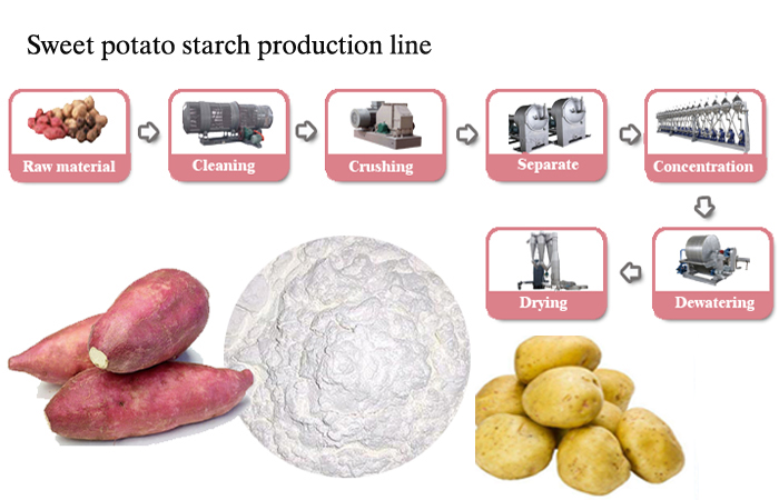 Potato starch processing.jpg