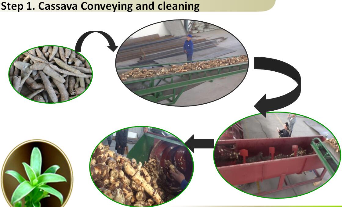 The price of Cassava peeling machine.jpg