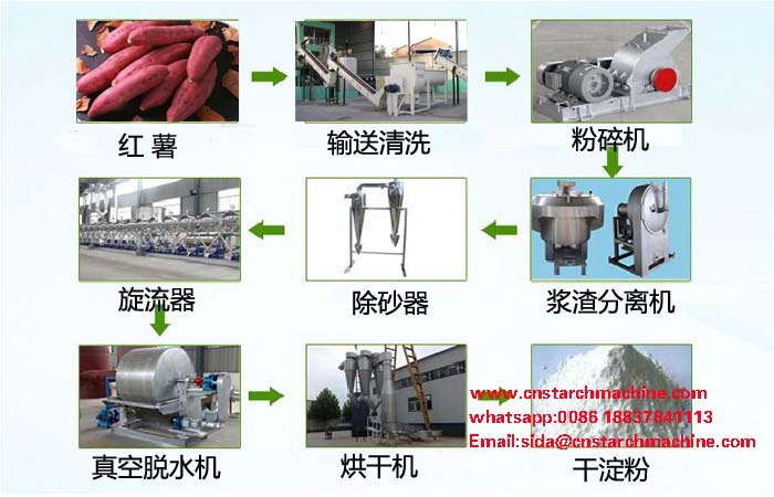 The processing of sweet potato into starch.jpg