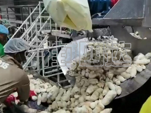 Cassava peeling machine