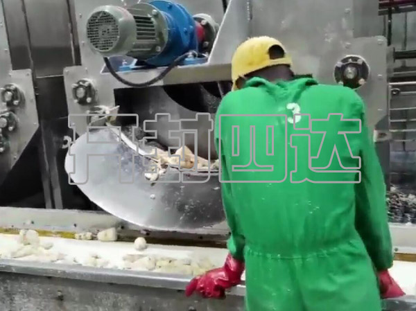 cassava-cassava-peeling-machine-manufacturer.jpg